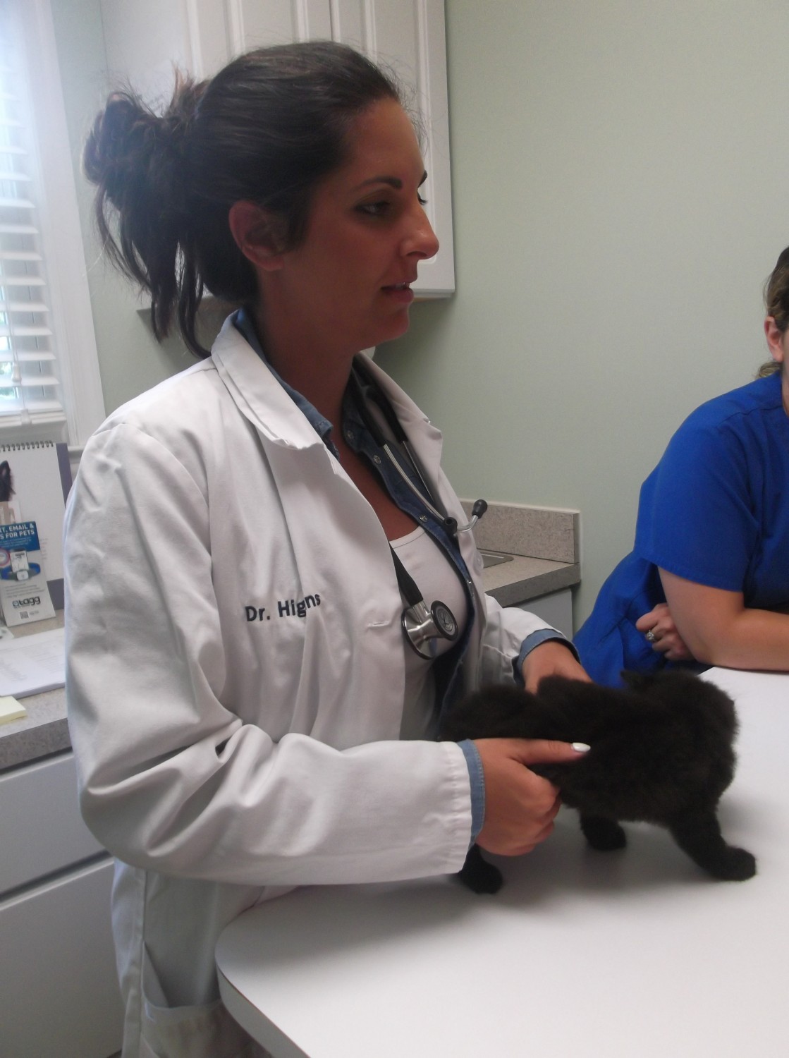 Monroe Animal HospitalMonroe Township NJServing the communities of